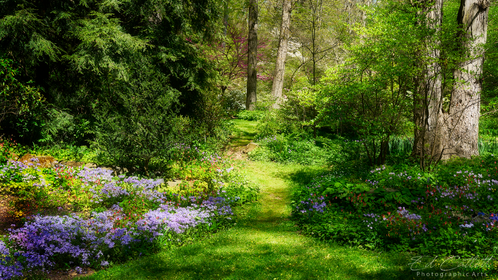 The garden path